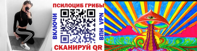 Купить закладки  Зеленоградск  Галлюциногенные грибы прущие грибы 